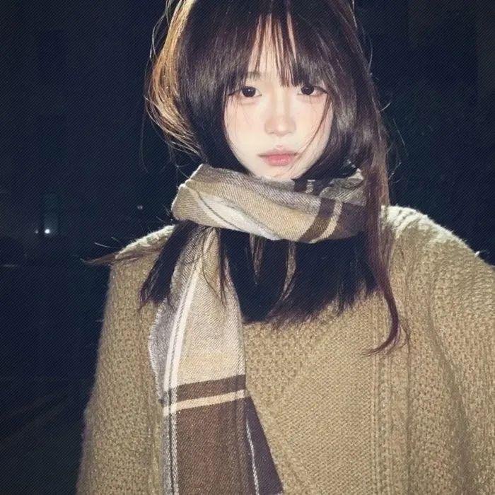 没人瞭波斯猫