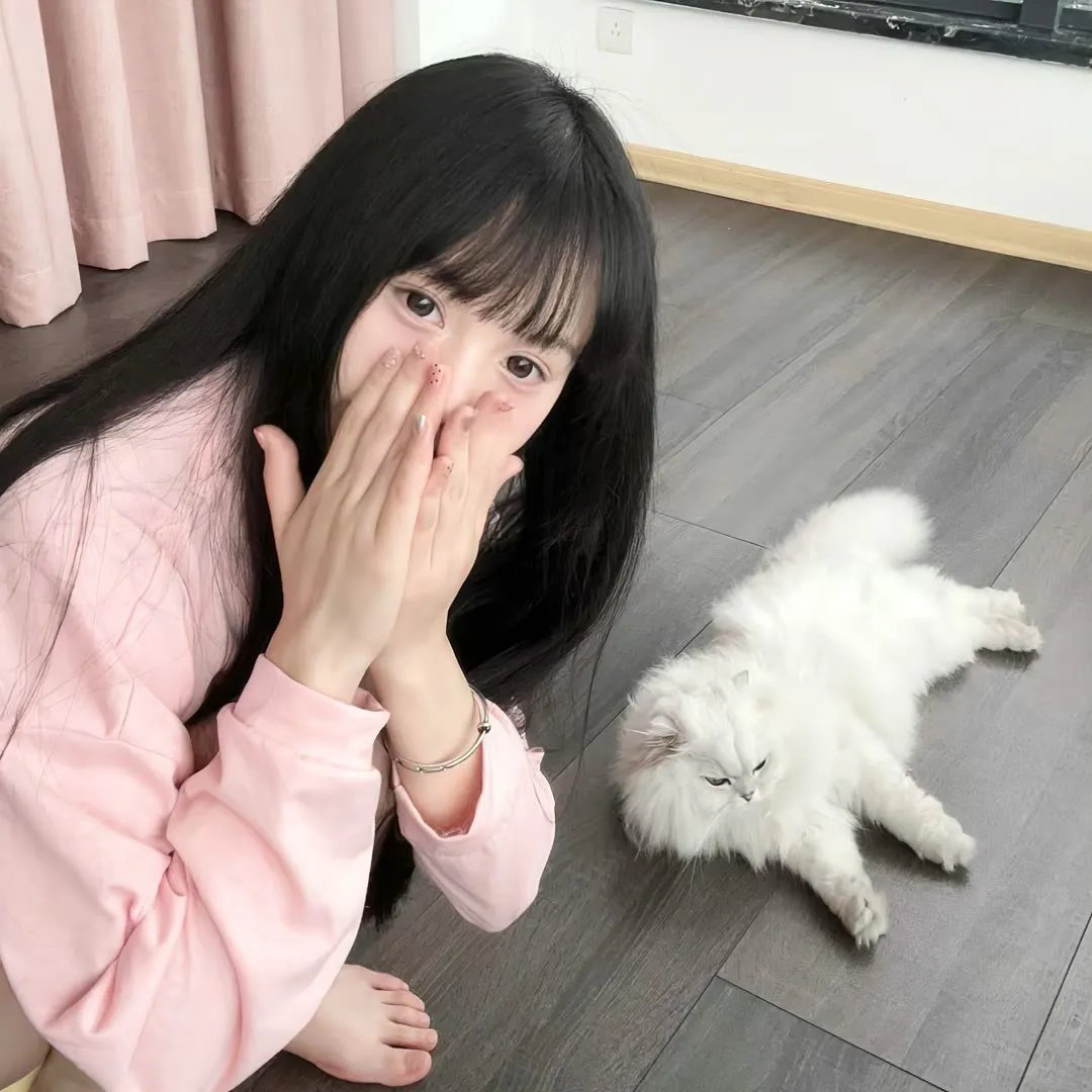 恐动雪梨